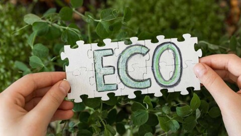 Green Business: The Surge of Eco-Friendly Practices in Industry